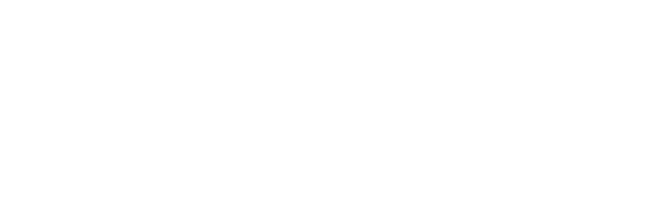 BCI_logo_BIG